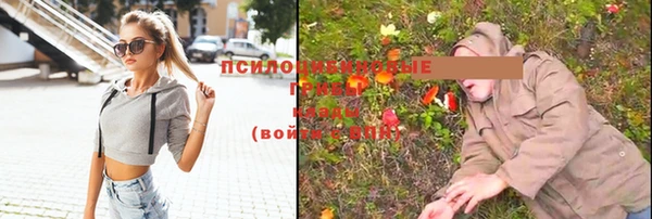 мет Гусиноозёрск